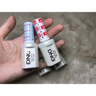 Cặp base-top dnd chính hãng