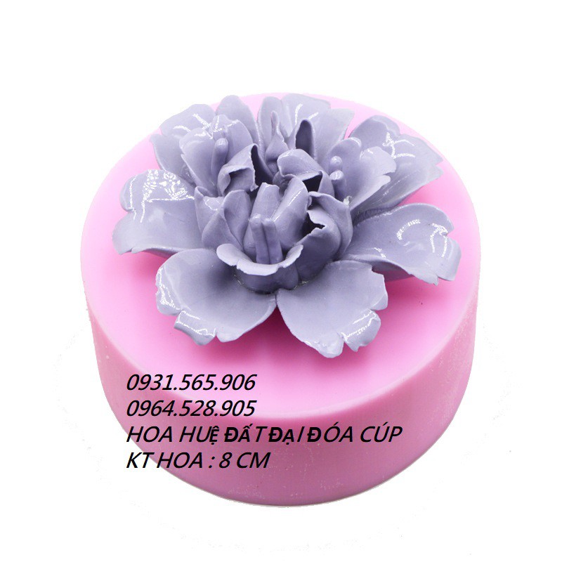 Combo 8 Món Hộp Nhựa Giấy Gen Lót Bánh Chị Trang Thùy