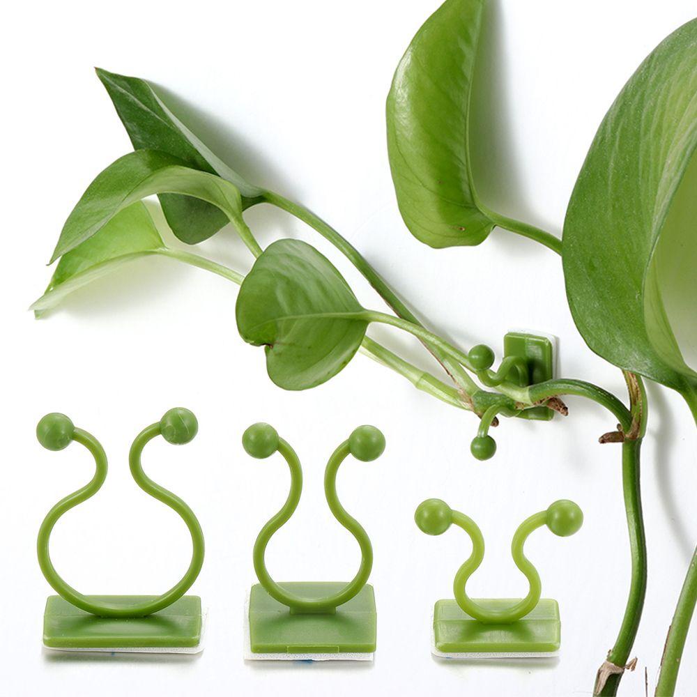 KUNHEV Set 10 Giá Đỡ Cây Dây Leo Gắn Tường Vô Hình