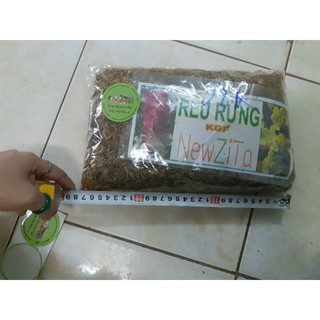 Rêu Rừng New Zita Gói 2dm3 Gần 150g, Giá Thể Trồng Lan