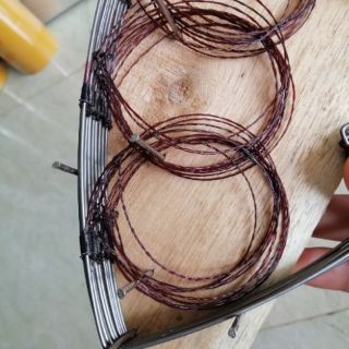 Bộ thòng bẫy chim đa năng