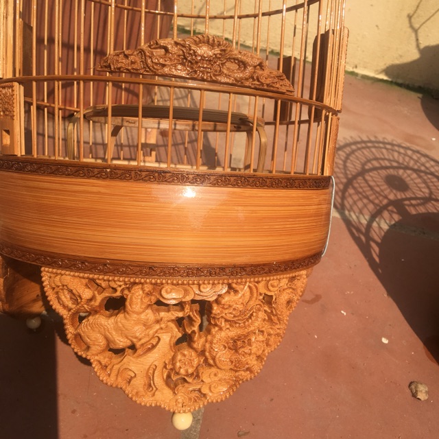 Khuyên tích rồng thủng