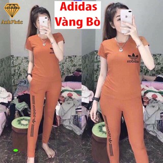 Đồ bộ mặc nhà mặc mát Anh Phúc + Cotton A