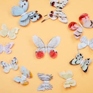 Bộ 12 bướm 3D 4 cánh