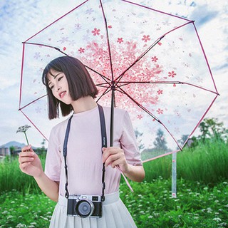 Dù xếp trong suốt hoa anh đào - Muasamhot1208