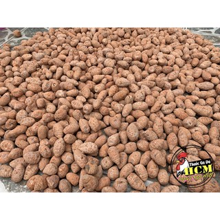 Củ Nghệ Đỏ (Nghệ Xà Cừ) Cho Gà Đá Cao Cấp