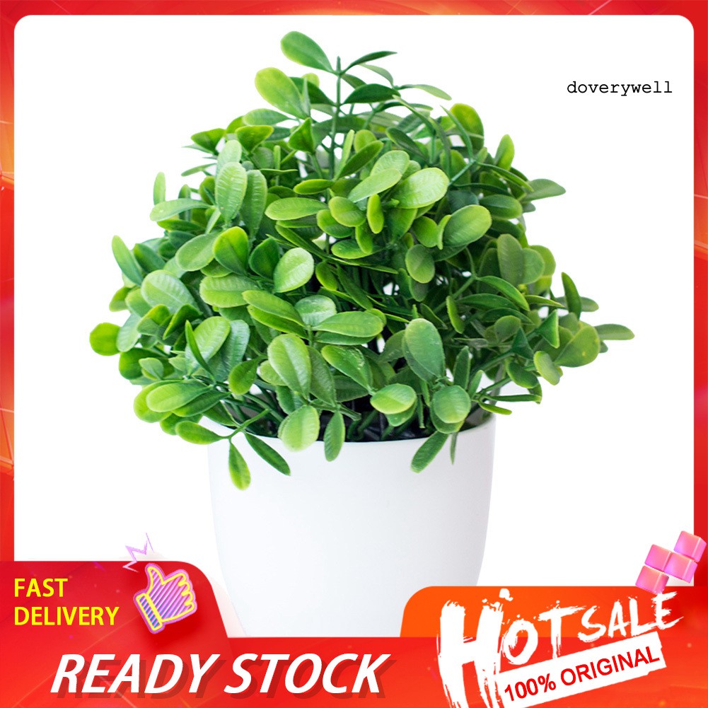 Mô hình cây cảnh nhân tạo sống động trang trí nội thất