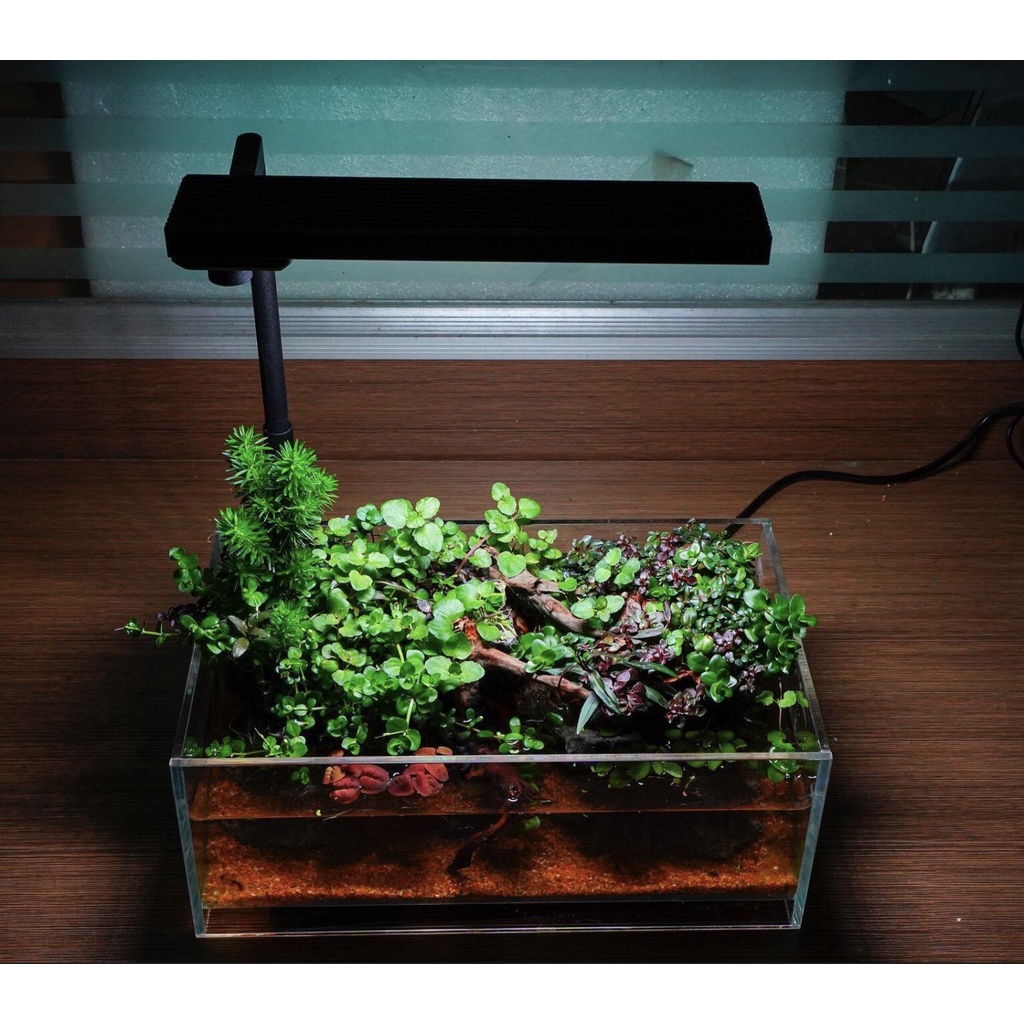 ĐÈN CHIHIROS C2 RGB - C2 RGB   3IN 1 ĐÈN LED CAO CẤP CHO HỒ CÁ THỦY SINH NHỎ