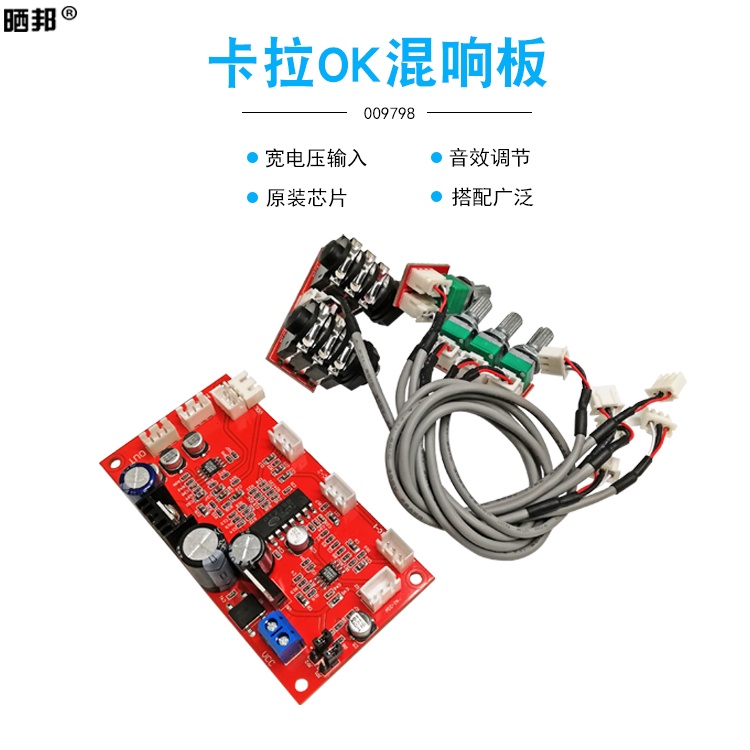 Bộ Chuyển Đổi PT2399 Với Hiệu Ứng Khuếch Đại Phía Trước Cho Micro NE5532