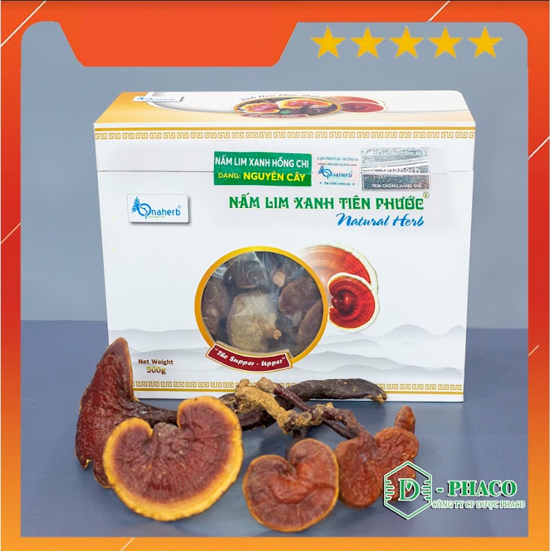 Nấm Lim Xanh nguyên cây 500 gram