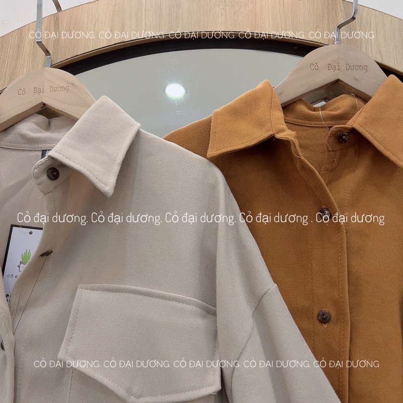 sơ mi nhung viền 6827