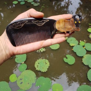 Lược sừng đẹp