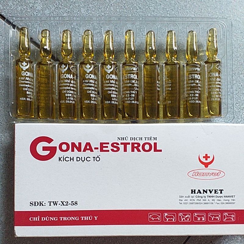 Gona estrol cho gia súc cái chó mèo lợn trâu bò dê thú y, thú cưng
