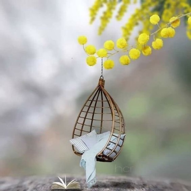 Bình sữa nuk