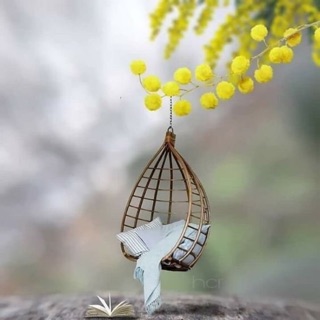 Bình sữa nuk