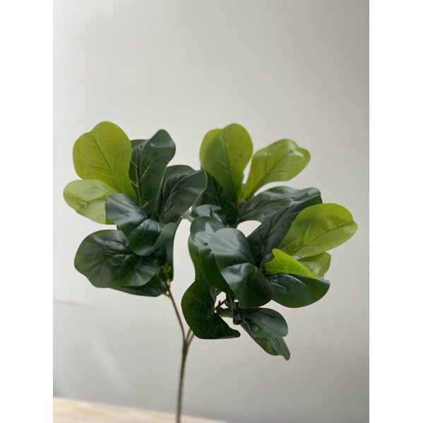 Cây Bàng Singapore 3 Nhánh 27 Lá, Cao 70cm, Decor Trí Nhà Cửa - Cây Giả.