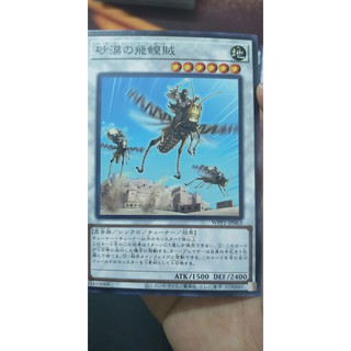 Wpp1-jp063 desert locusts. common