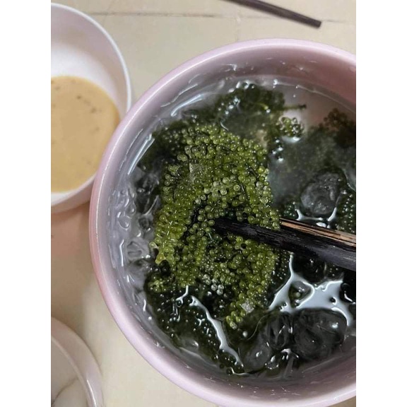 Combo nhiều gói rong 50g nở 150g kèm xốt, giá rẻ + freeship Hana Farm