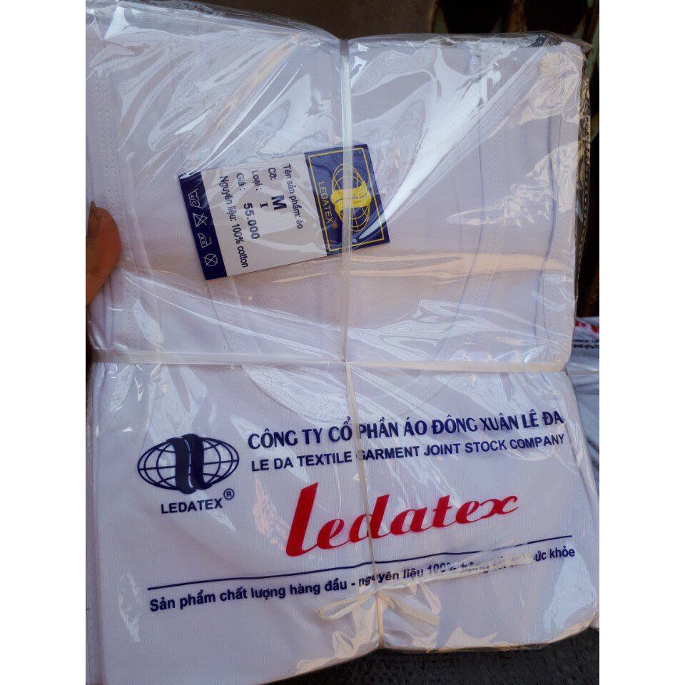 Áo phông cộc tay đông xuân hàng chất lượng cao Ledatex 100% cotton size XL