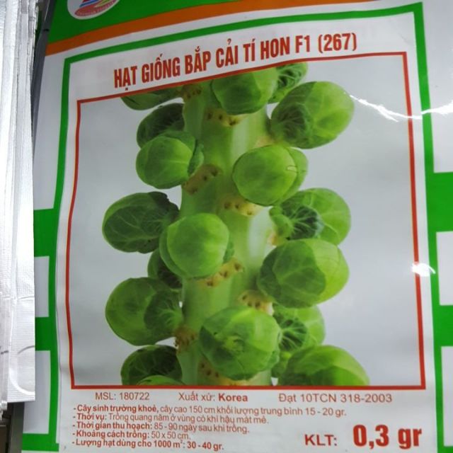 Hạt giống bắp cải tí hon