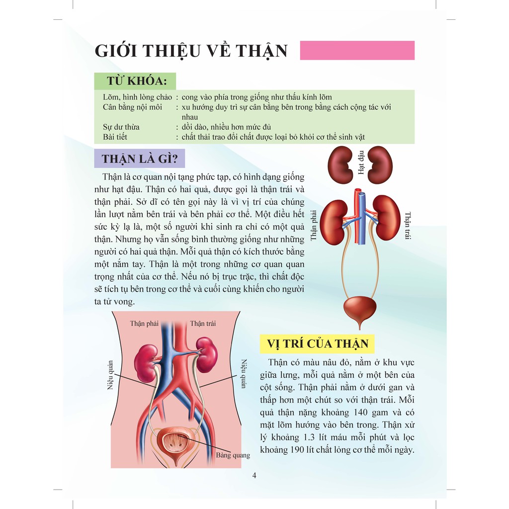 Sách - Cơ Thể Của Tôi Hoạt Động Như Thế Nào: Thận