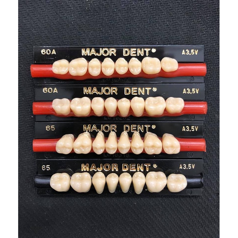 Răng nhựa giả tháo lắp màu A1 siêu cứng 3 lớp Major Dent Italy Artificial Teeth