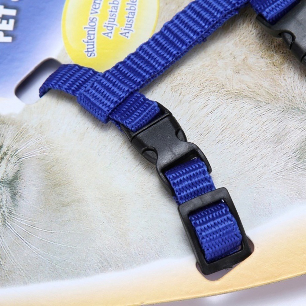Dây Đeo An Toàn Cho Thú Cưng