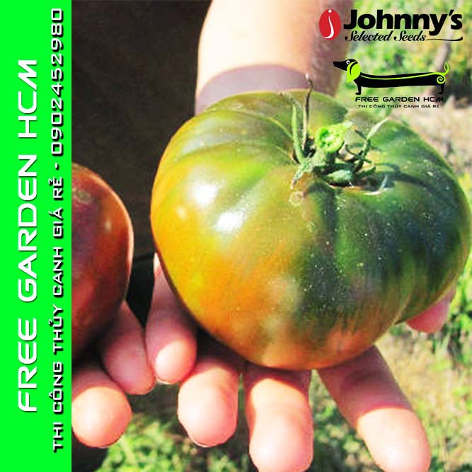COMBO 30 HẠT CÀ CHUA BLACK KRIM - Johnny’s Seed – Mỹ
