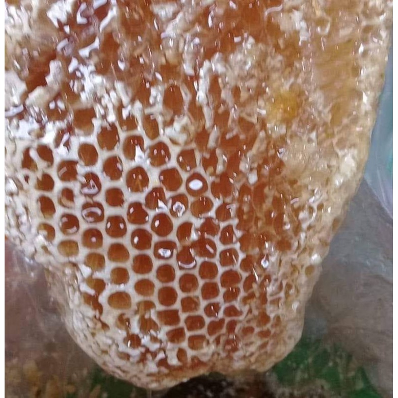 Mật ong nguyên chất rừng tràm Quảng Trị,vi ngọt thanh và màu tươi, Chai 1 lit 1,3kg