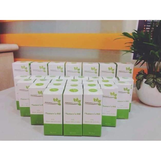 Tinh dầu tràm gió 50ml/100ml -Viện KHCNVN