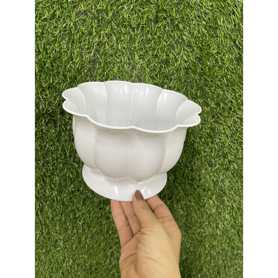 Chậu nhựa trồng cây trái bí nhỏ để bàn màu trắng 170 x 110 x 120mm