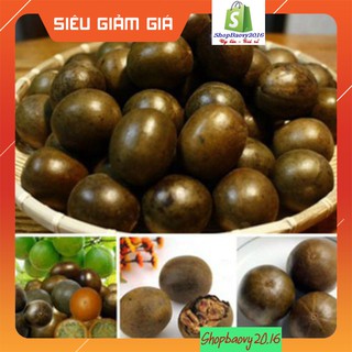 [COMBO] Quả la hán Size Đại + 1 viên trà hoa cúc đường phèn mật ong (Hàng Loại 1)