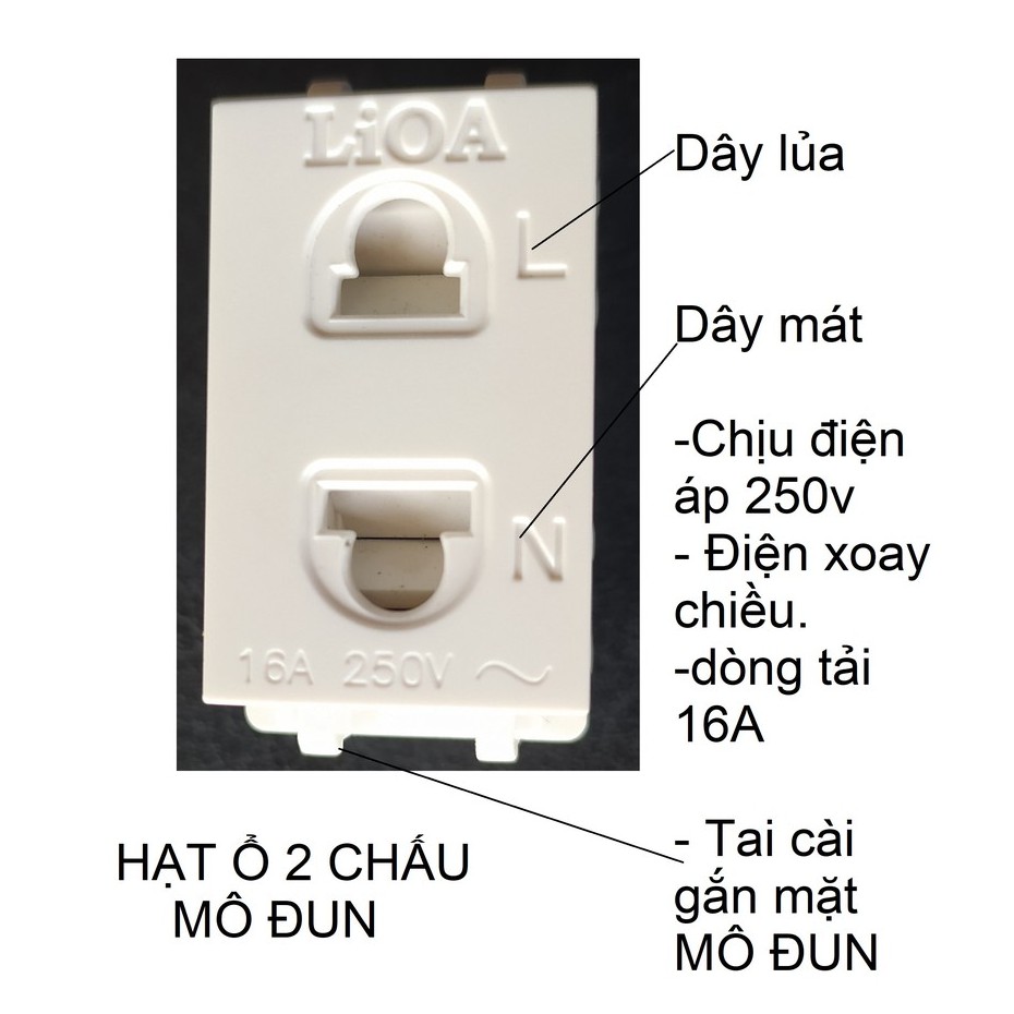 Ổ ĐƠN 2 CHẤU LiOA - MÔ ĐUN.