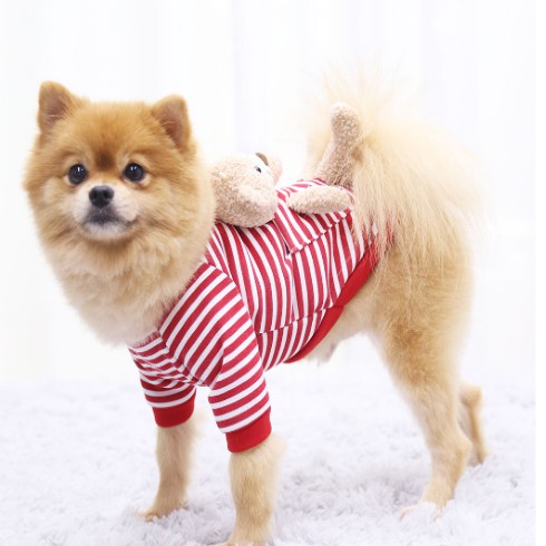 🌸 Quần Áo Noel Gíang Sinh Cho Chó Mèo Thú Cưng Bear's Pet Christmas