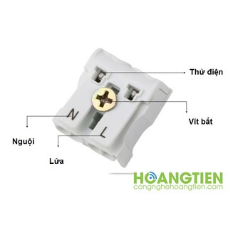Cút nối dây điện nhanh 923-2P