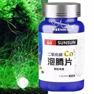 Co2 dạng viên nén cho hồ thủy sinh