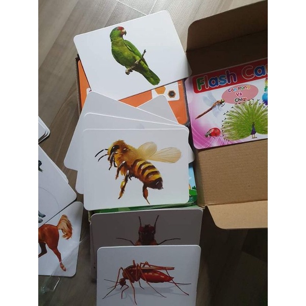 [Xả Kho giá sốc] Bộ thẻ học A5 thông minh 19 chủ đề