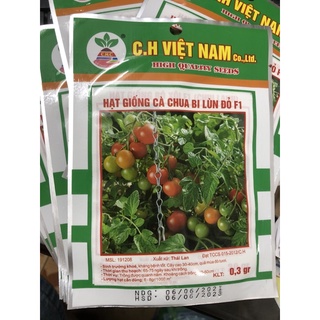 Hạt giống cà chua bi lùn đỏ f1