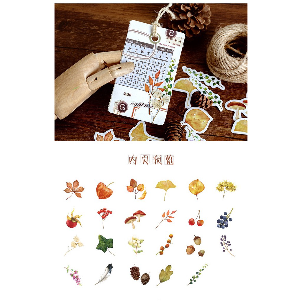 Bộ sticker/ Hình dán Kiểu Dáng Rừng Thông & Hạt Dẻ