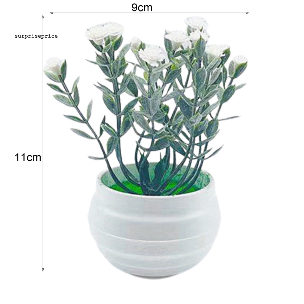 Chậu Cây Bonsai Giả Chống Rơi Dùng Trang Trí Nhà Cửa