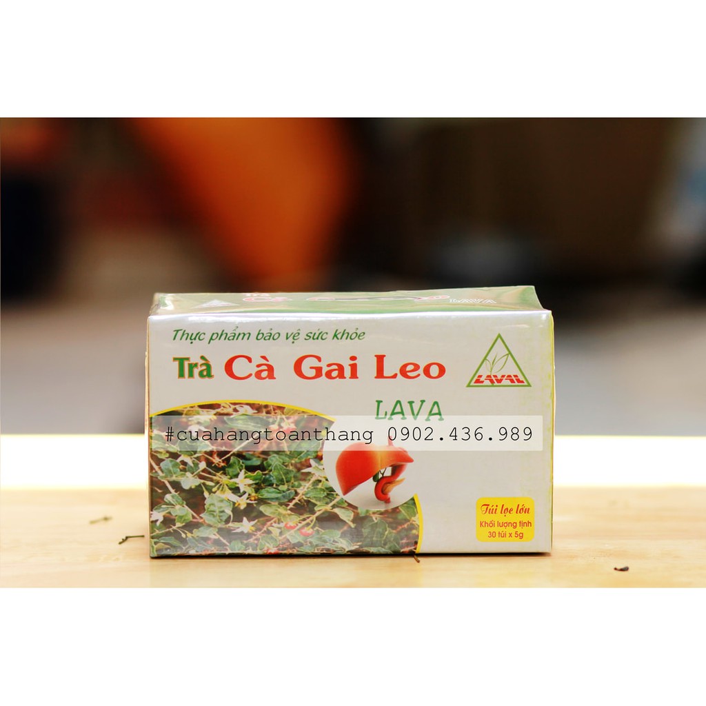 Trà Cà Gai Leo Túi Lọc
