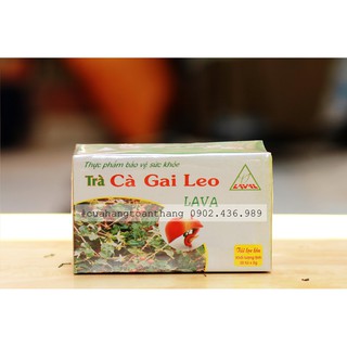 Trà cà gai leo túi lọc