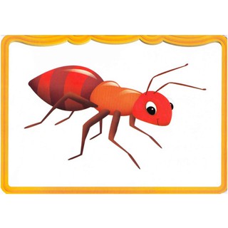 Flashcard oxford phonic world 2