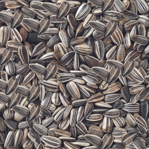 Hạt hướng dương sọc Deli Nature Striped Sunflower Seeds - Gói 1KG