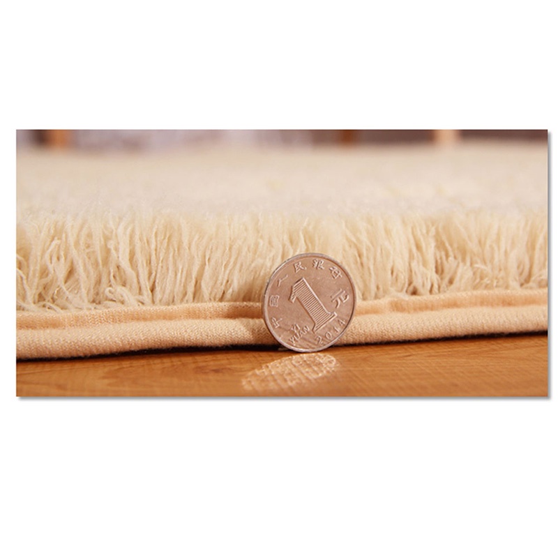 Thảm Lót Sàn Mềm Mại Thấm Hút Tốt, Chống Trượt, Kích Thước 30X50Cm