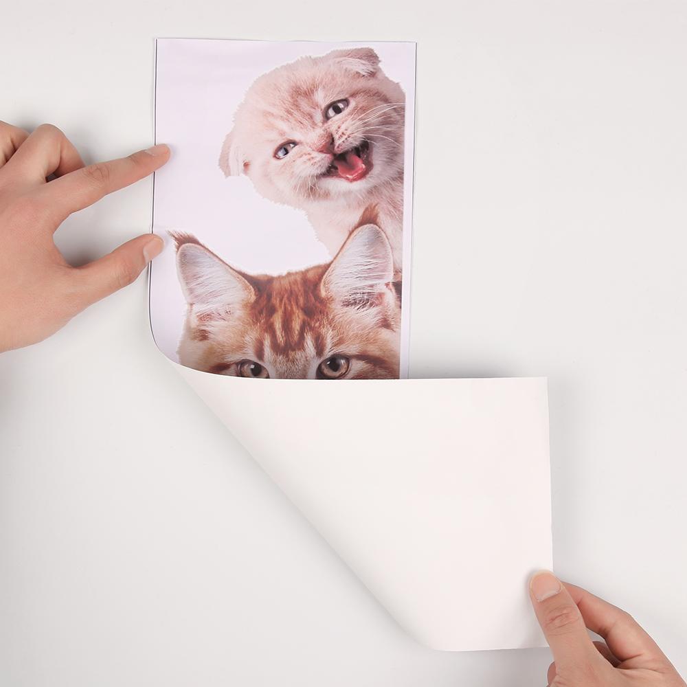 1 Giấy Dán Tường Hình Chó Mèo Trang Trí Nội Thất