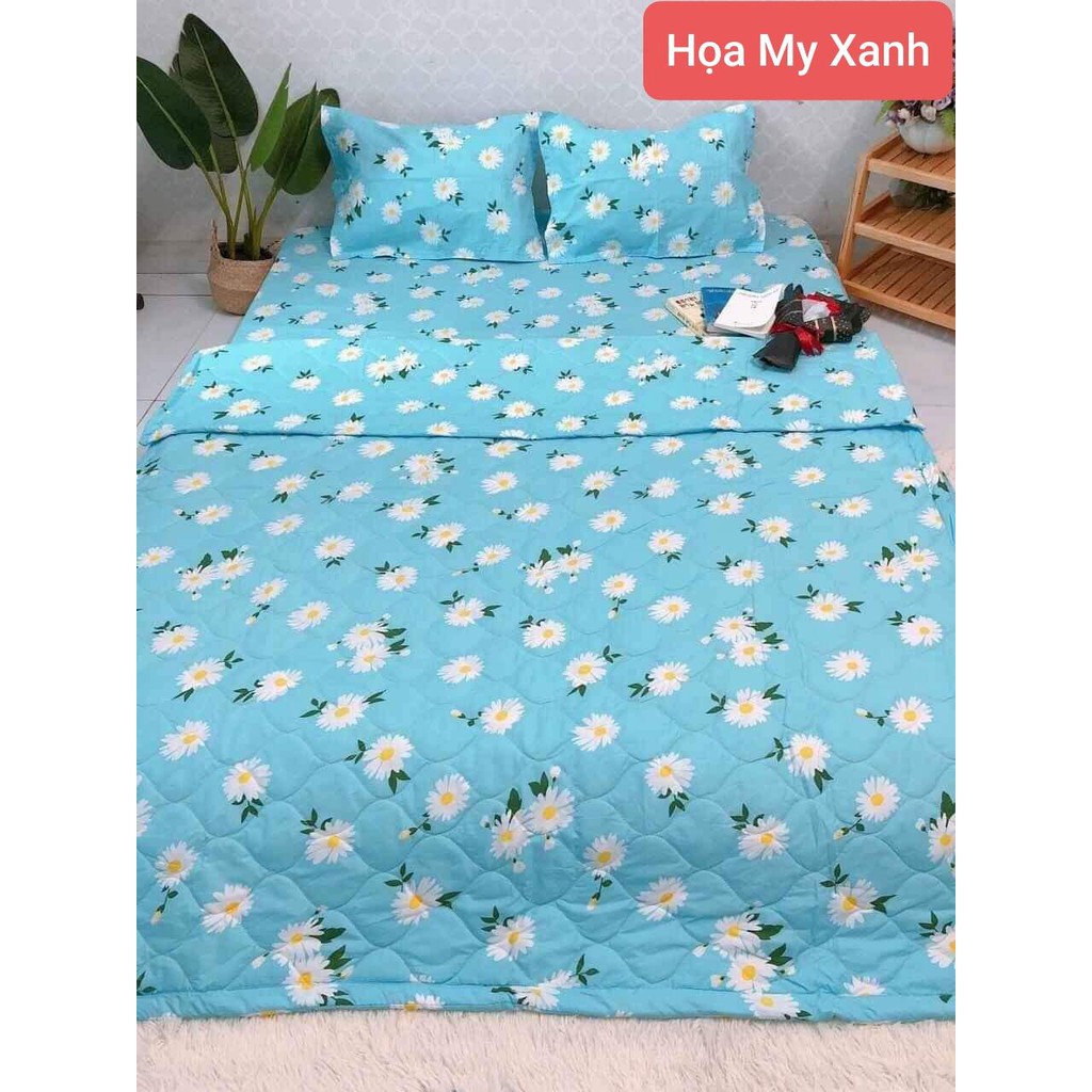 Bộ Ga Gối Cotton Poly 4 Món H&T Bedding, Miễn Phí May Ga Bo Chun, Bộ Ga Mới Hè 2022, Sét Chăn Ga 4 Món | BigBuy360 - bigbuy360.vn