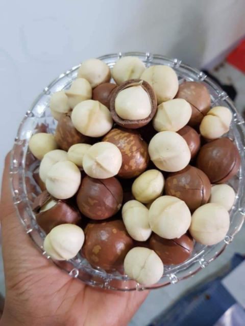 500gram Hạt Macca Organic ĐăkLăk size A (sấy lạnh) có ATTP (hạt mắc ca) | BigBuy360 - bigbuy360.vn