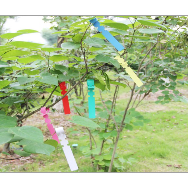 Thẻ nhựa đánh dấu cây trồng dày dặn chống nước chất lượng cao dùng ươm cây