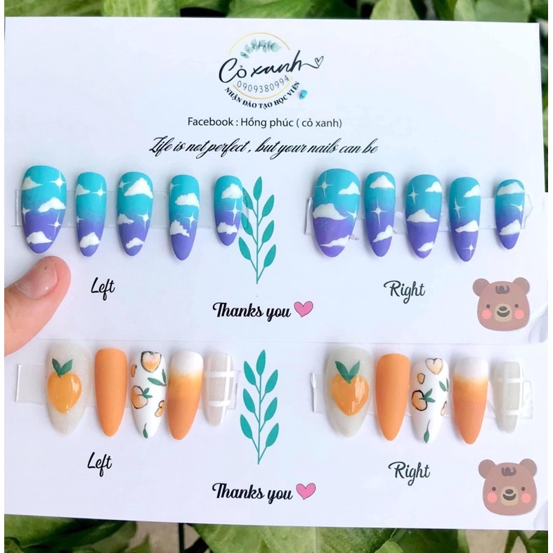 Nailbox thiết kế